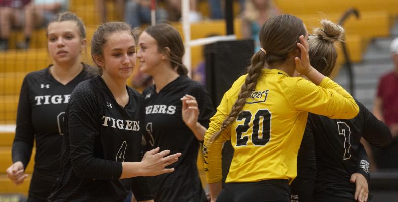 Sealy traveled to Needville Tuesday for a vital district match. The results were not available at press time.
