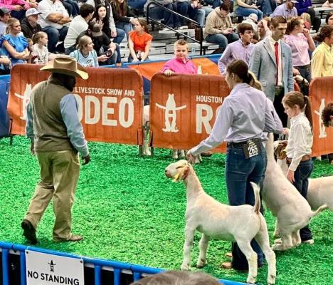 Dittert carries on family tradition in FFA arena