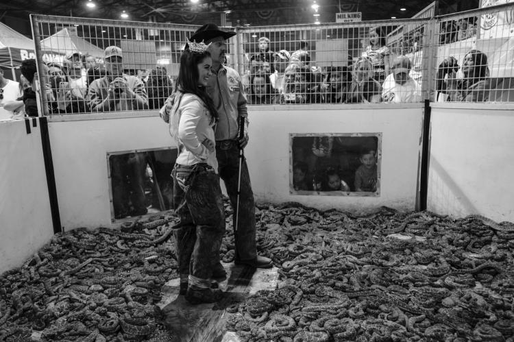 PHOTO BY JO-ANNE MCARTHUR, COURTESY OF ADVOCATES FOR SNAKE PRESERVATION Snake pit at the Sweetwater, Texas Rattlesnake Roundup.